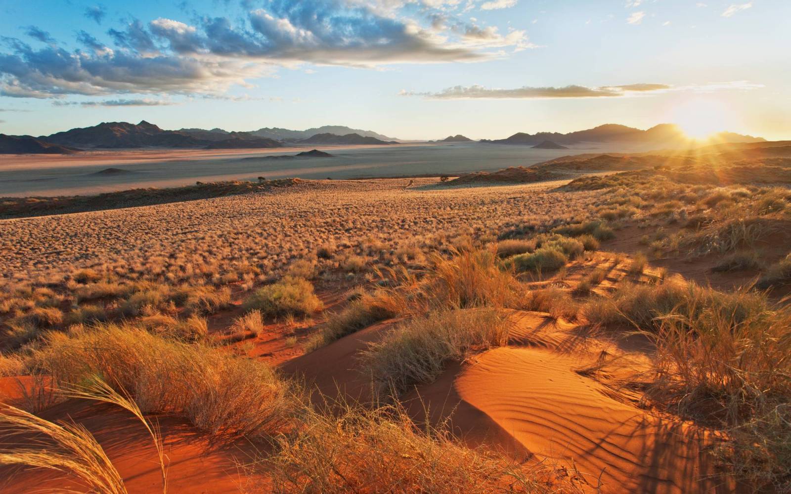Namib Rand Nature Reserve Namibia