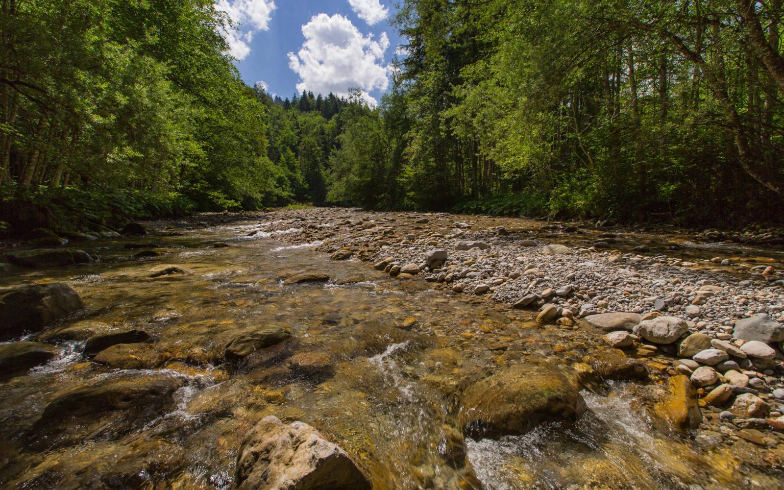 Ausser im Unterlauf bahnt sich das Wasser des Wissbachs seinen Weg frei durch dichte Wälder und unwegsame Schluchten.