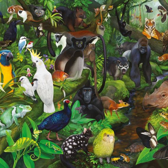 Puzzle "Gefährdete Arten im Regenwald", 1000 Teile