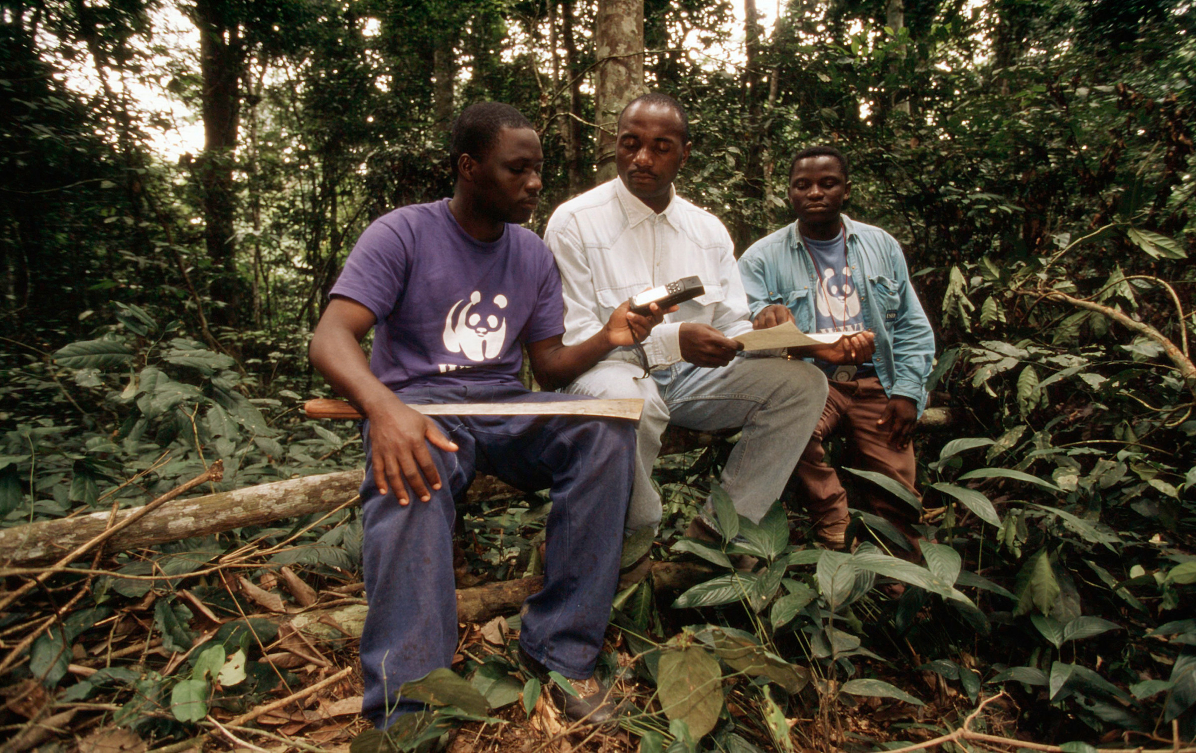 Formation en environnement avec le système GPS dans Minkébé Forest, Gabon