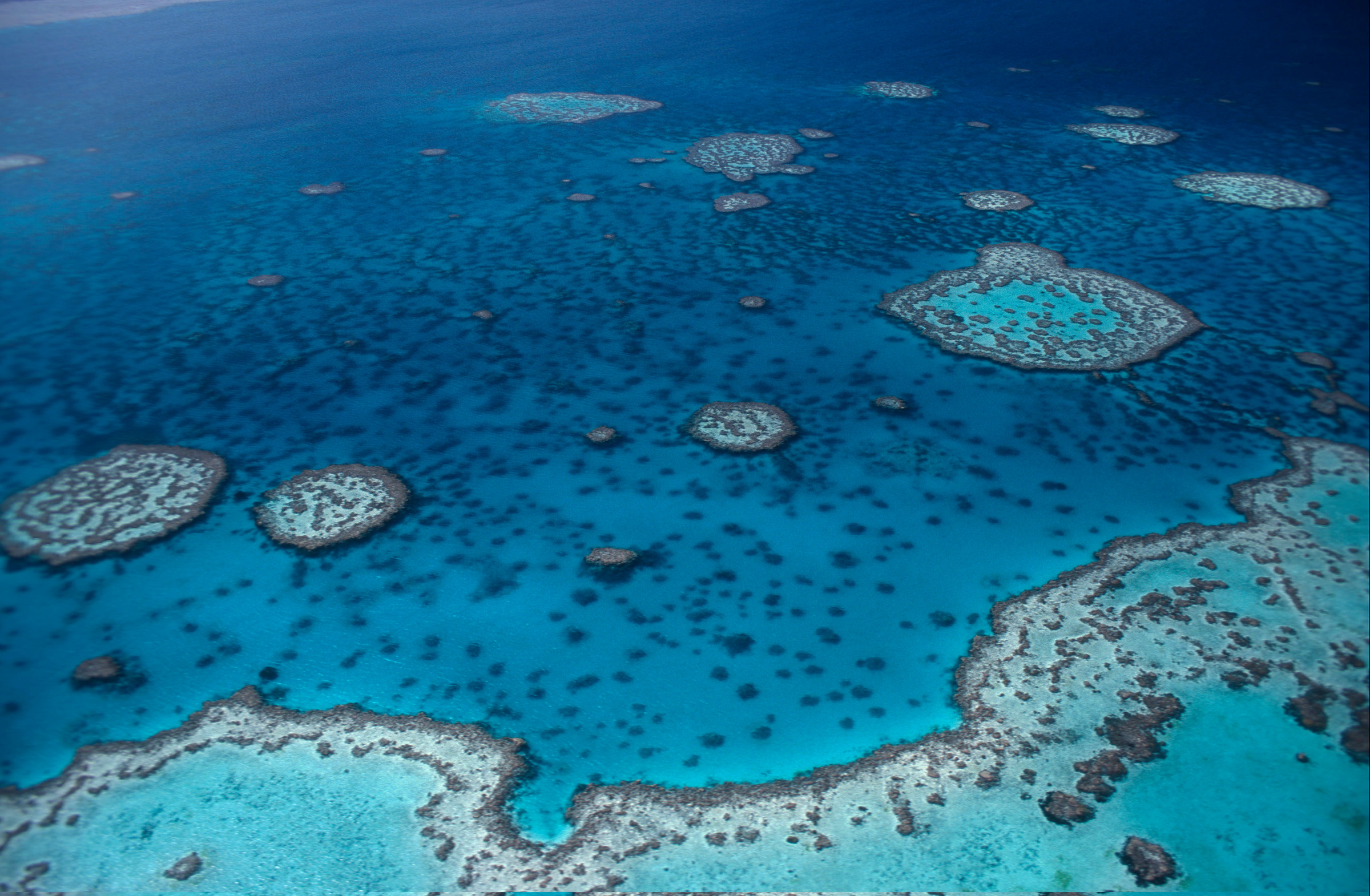 Aerial Hardy Reef. Parte della Grande Barriera Corallina in Australia.