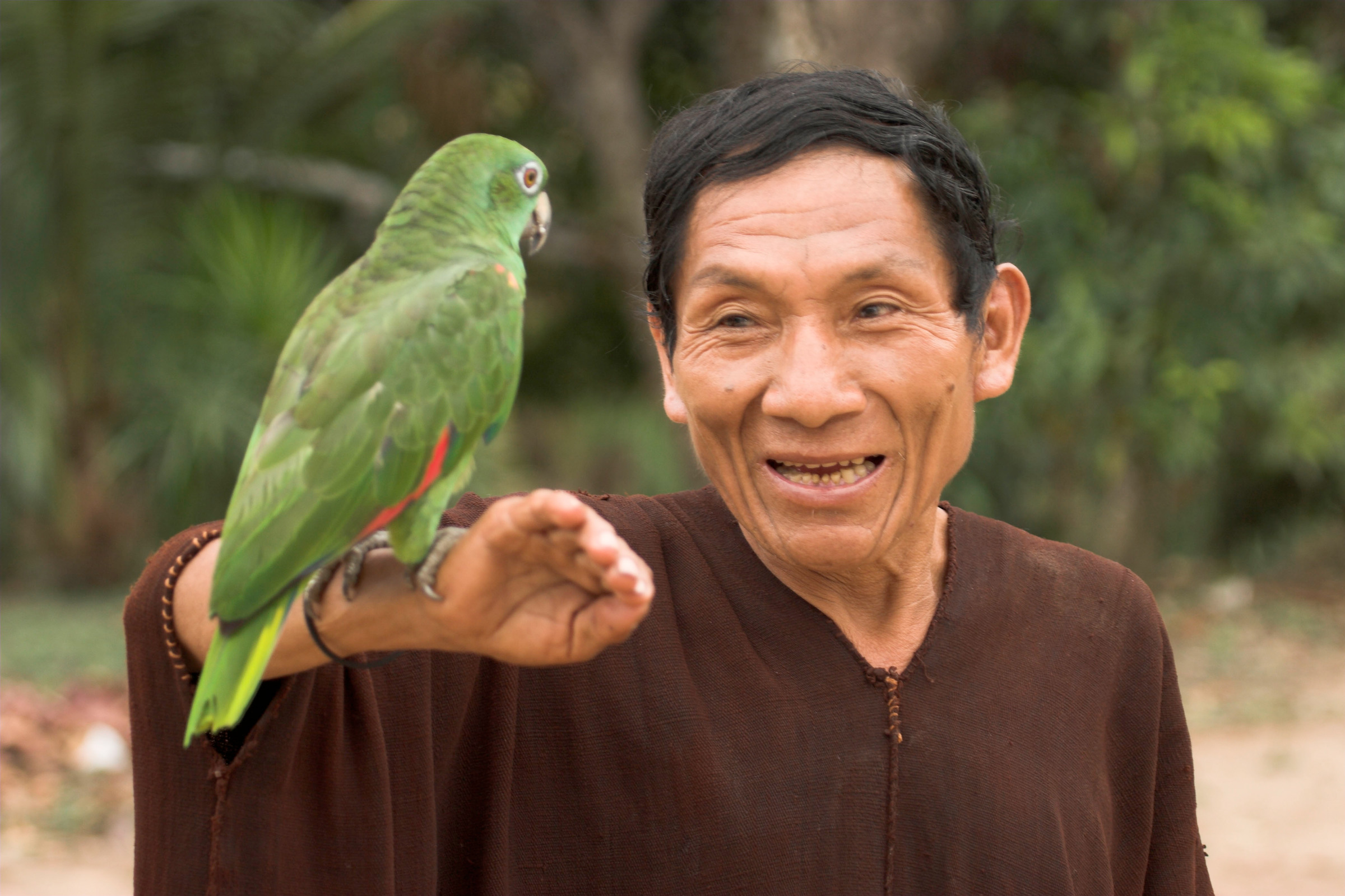 Jorge vom Ashaninka Volk in Peru mit einem grünen Papageien (Amazona amazonica)