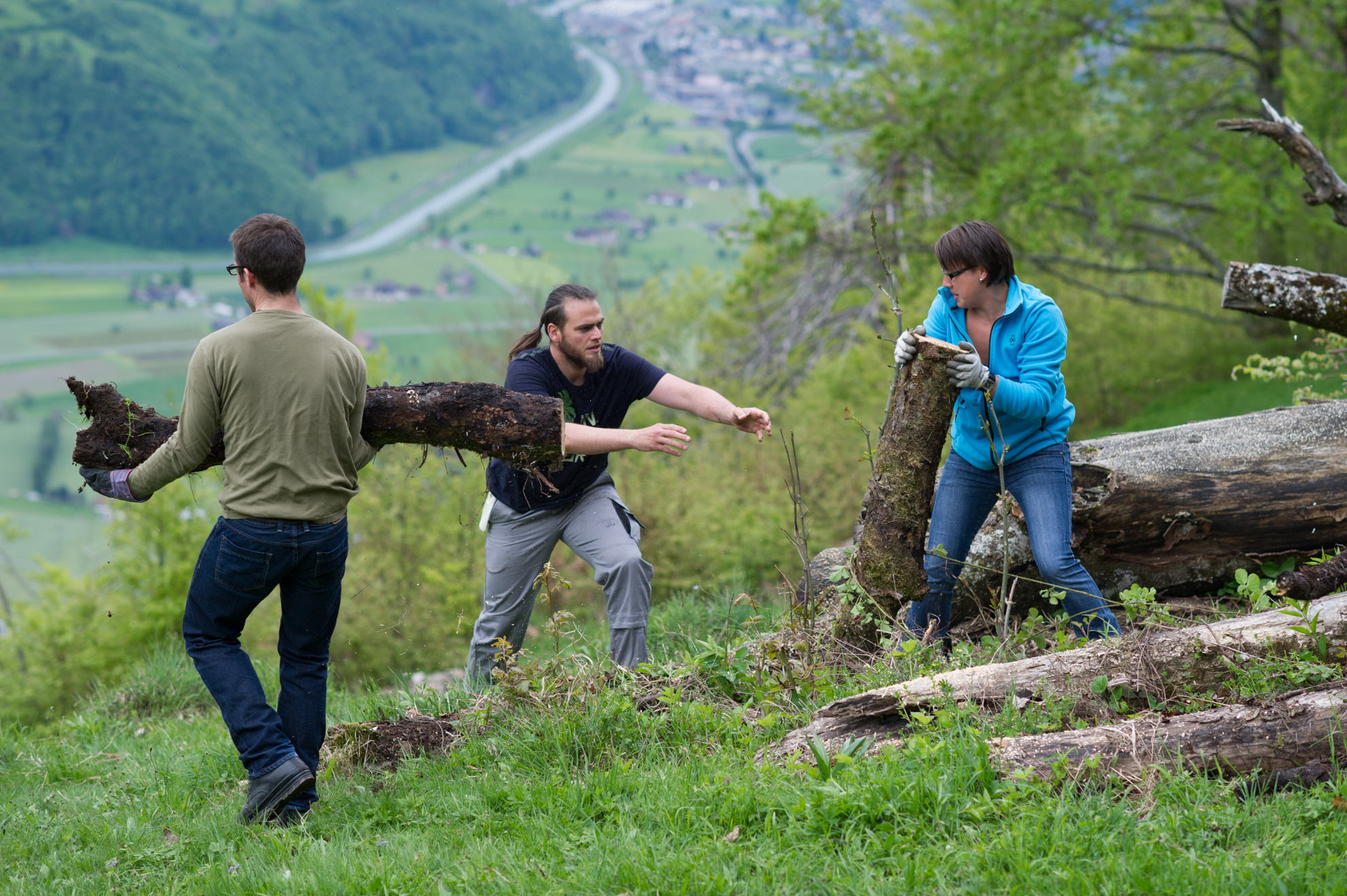 Les bénévoles de la section WWF St. Gallen sur l'aide Brändliberg, Saint-Gall, Suisse