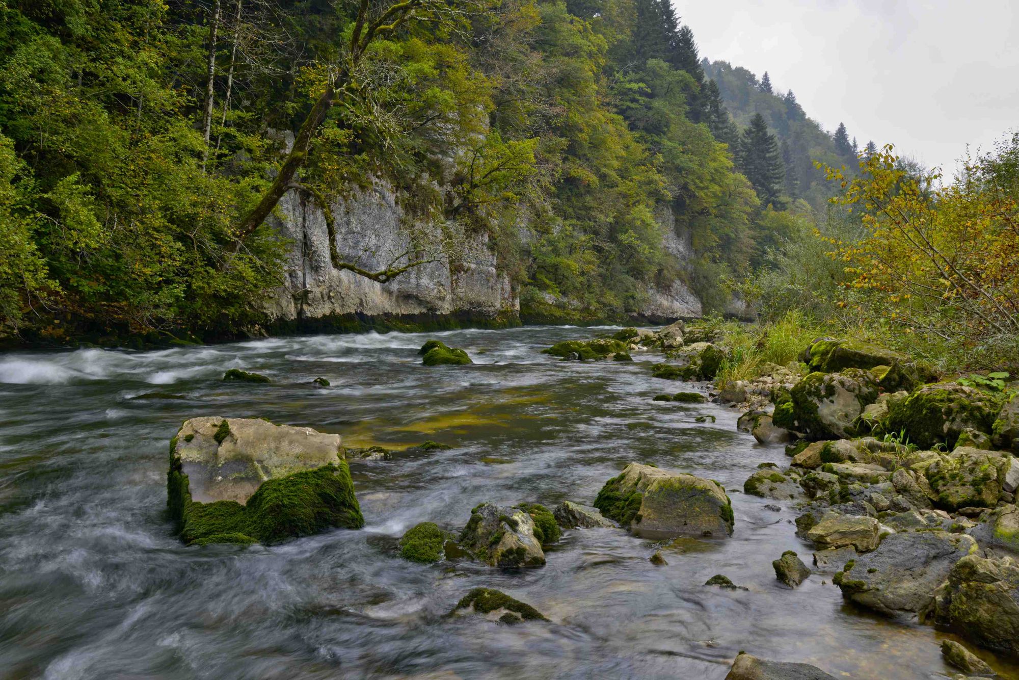 Rivière à Le Champois dans le Jura