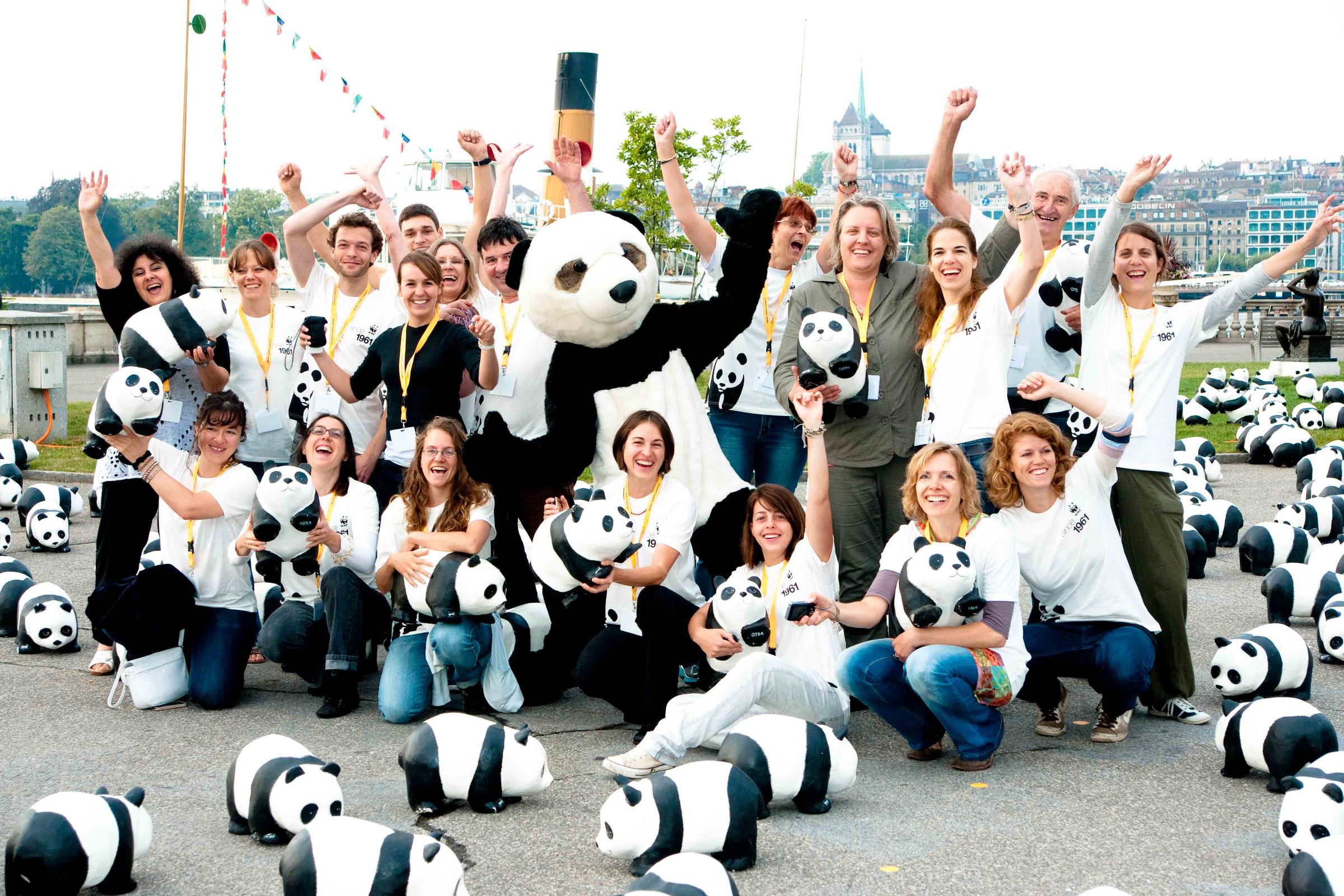 Zu seinem 50-jährigen Jubiläum stellt der WWF Schweiz 1600 Pandas aus Pappmaché aus.