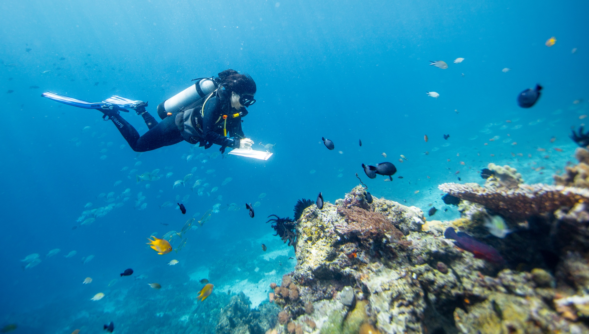 Gabby Ahmadia, WWF Marine Spezialistin, überprüft ein Riff in  Raja Ampat, West Papua, Indonesien.