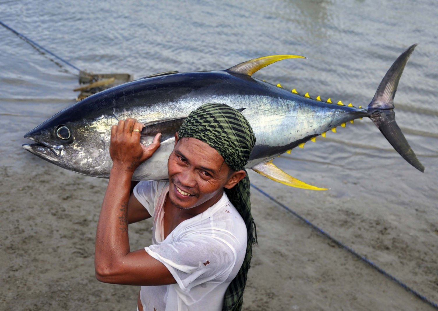 Man holds yellow fin tuna