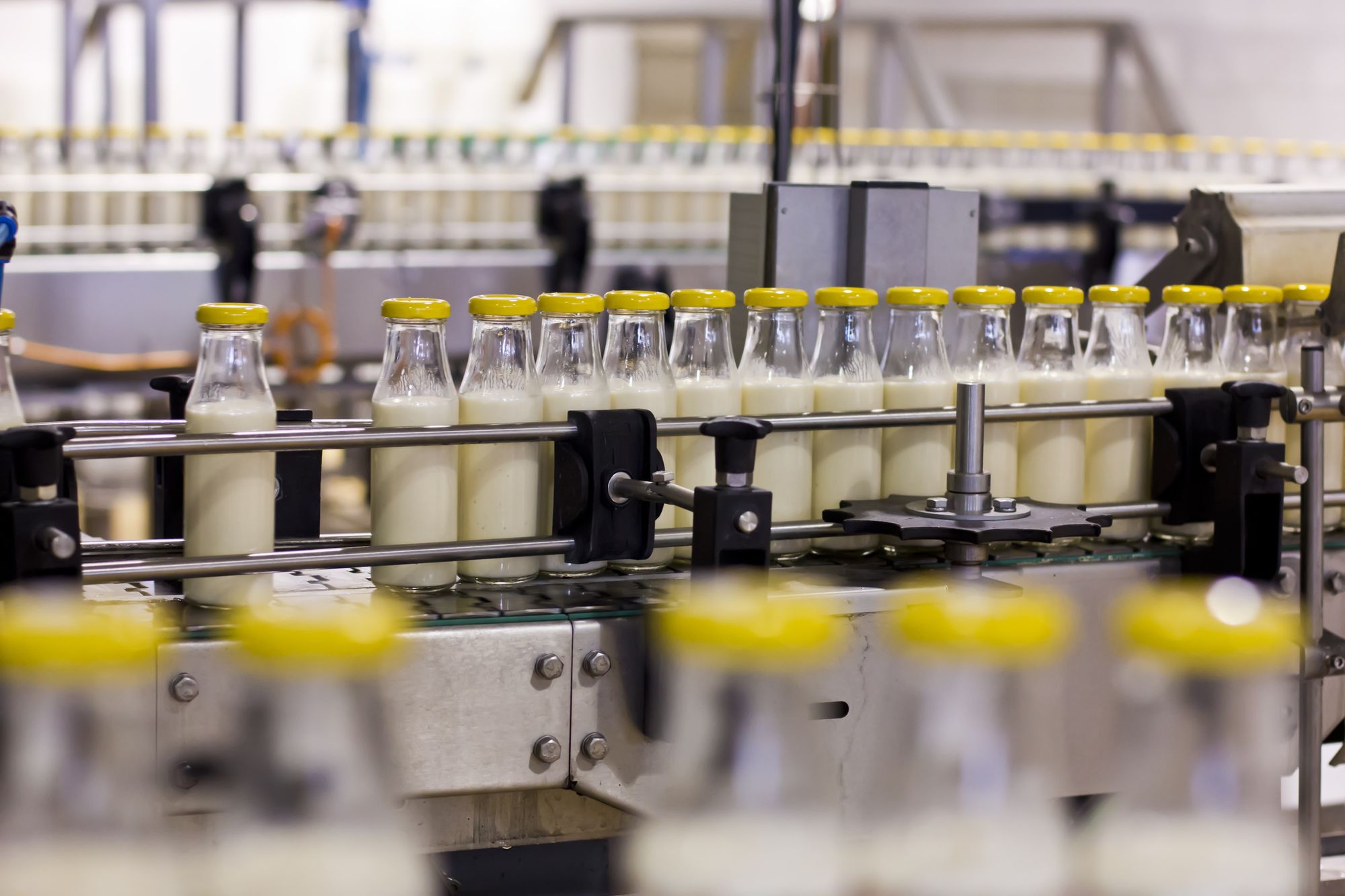 Milch in der Abfüllmaschine