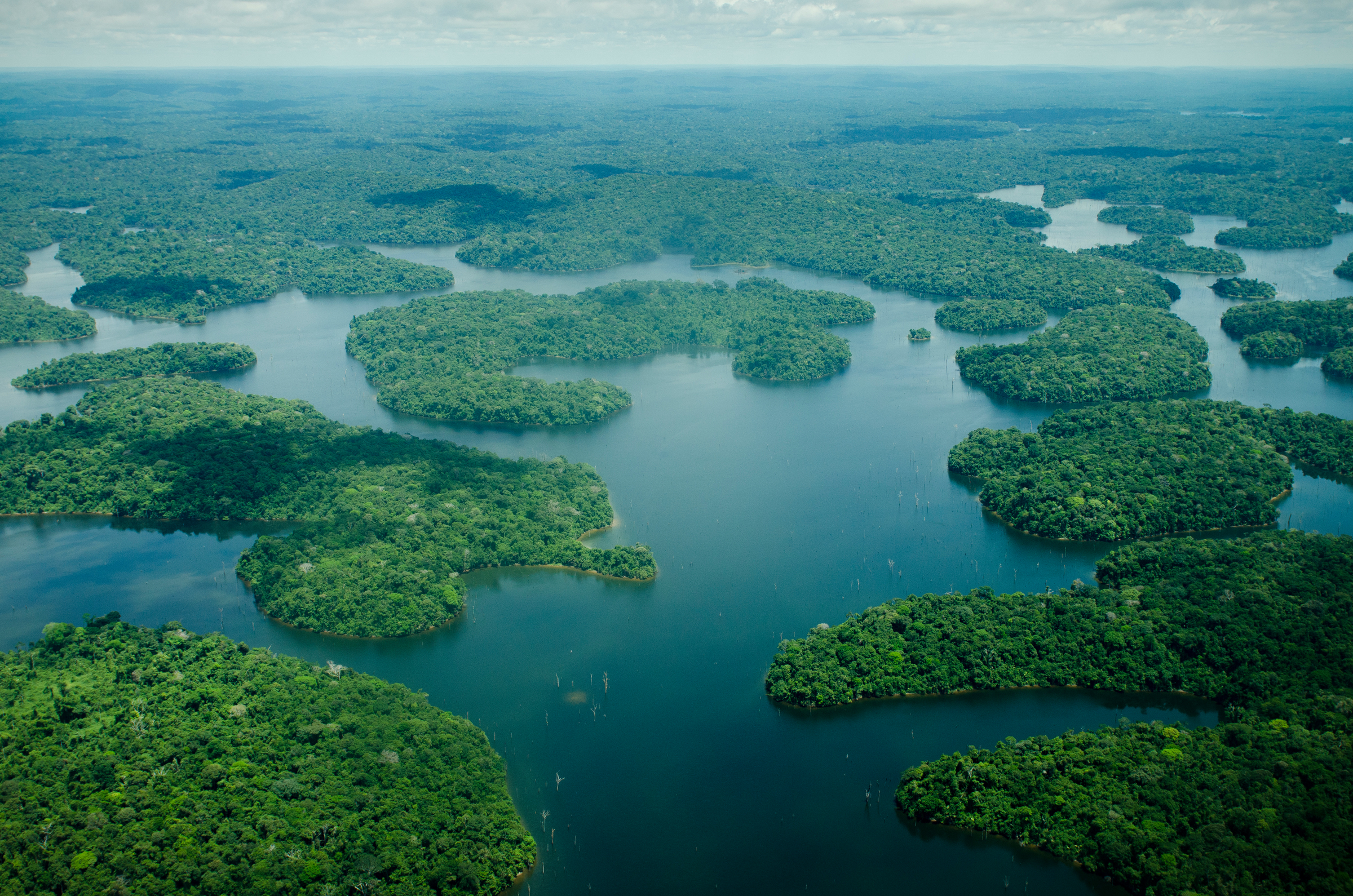 Vue aérienne de l'Amazone