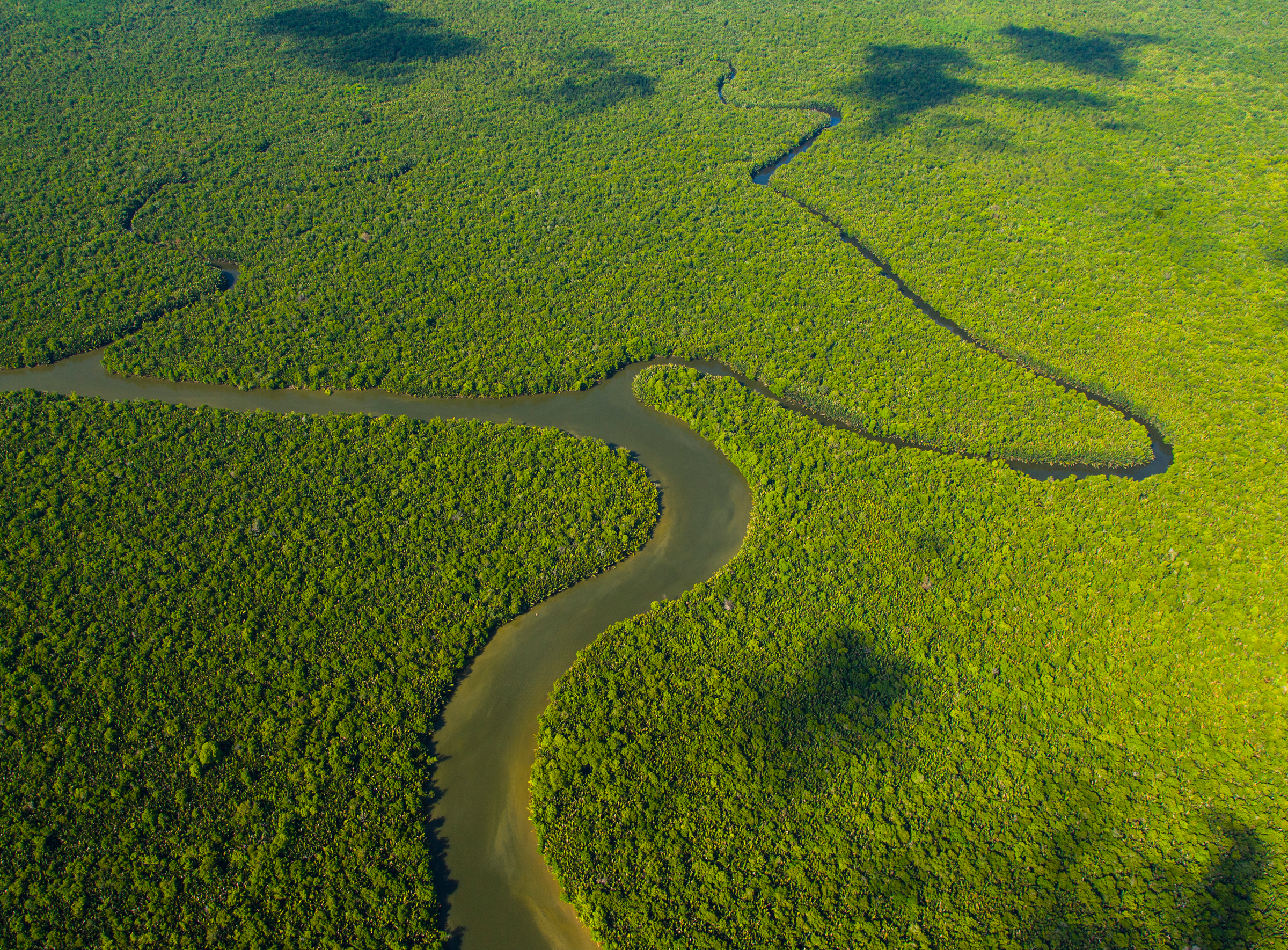 Vue aérienne de la rivière Kinabatangan et de la forêt tropicale, Sabah, Malaisie, Bornéo, en Asie.