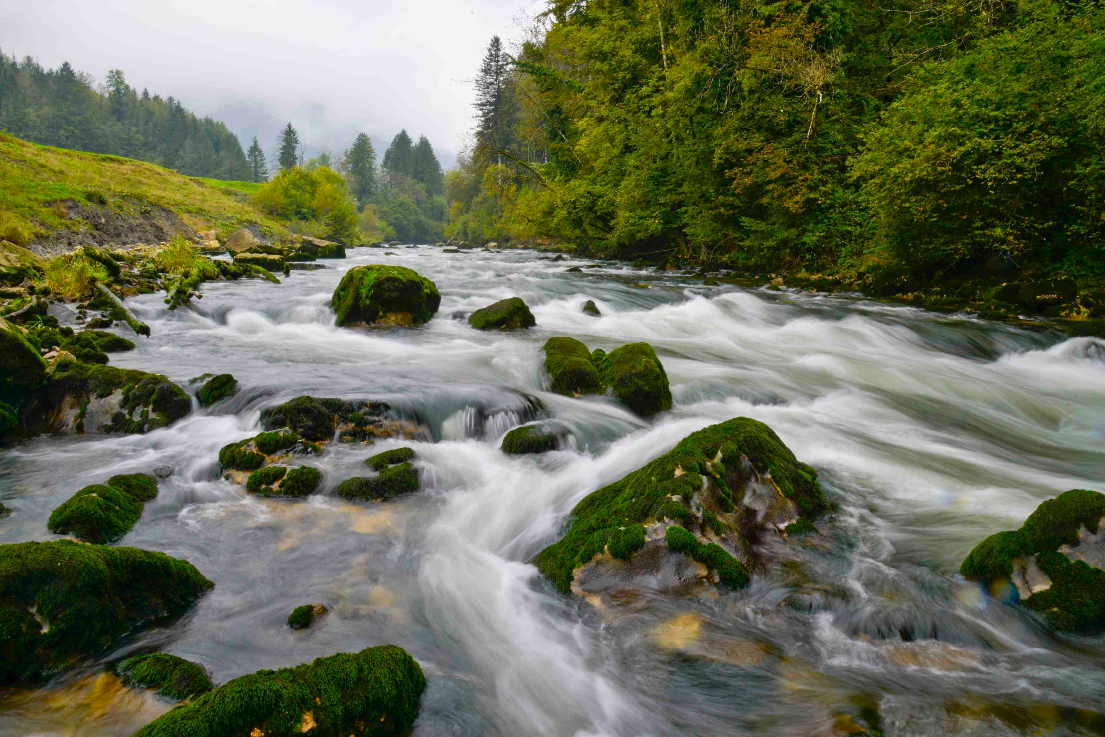 Ruisseau de montagne dans le canton du Jura