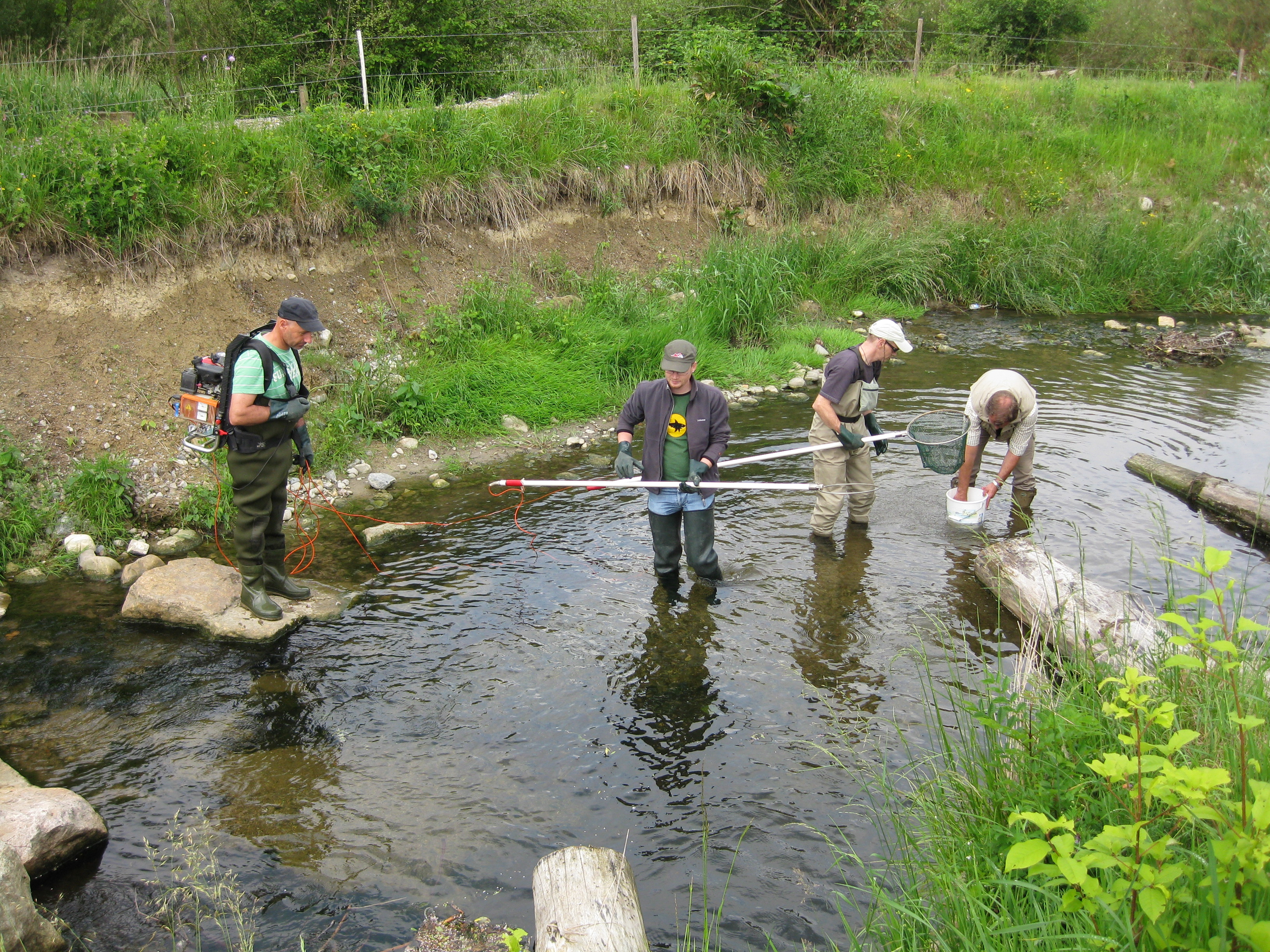 Den Riverwatchern werden während der Ausbildung die verschiedenen Fische erklärt