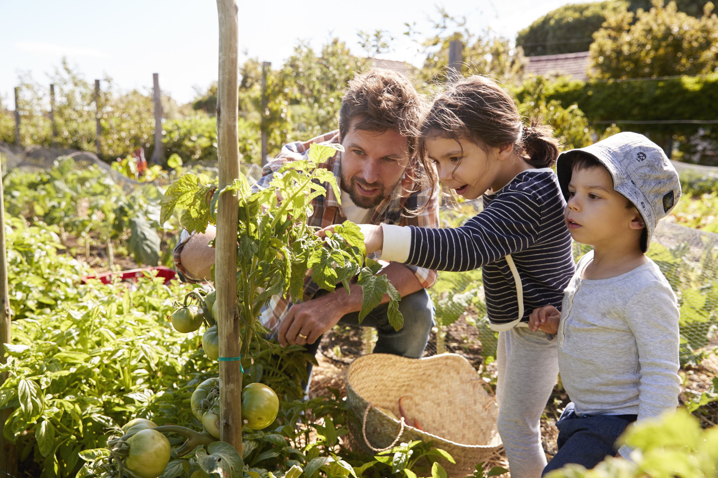 vita sostenibile famiglia giardino