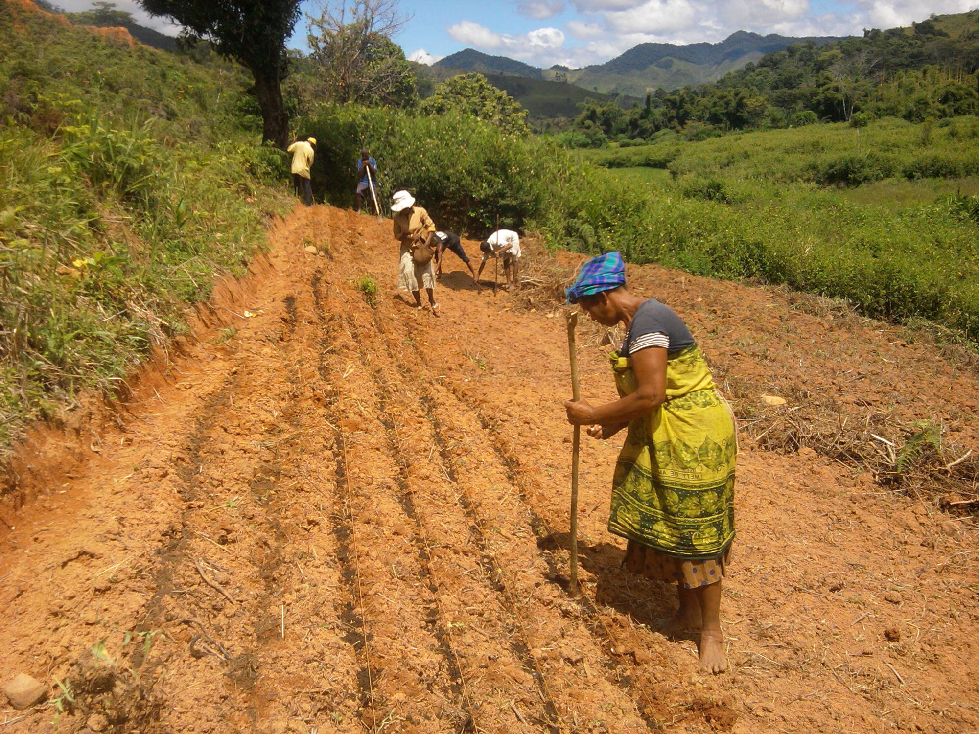 Gli agricoltori sono addestrati nel lavoro sul campo da parte dei dipendenti del WWF