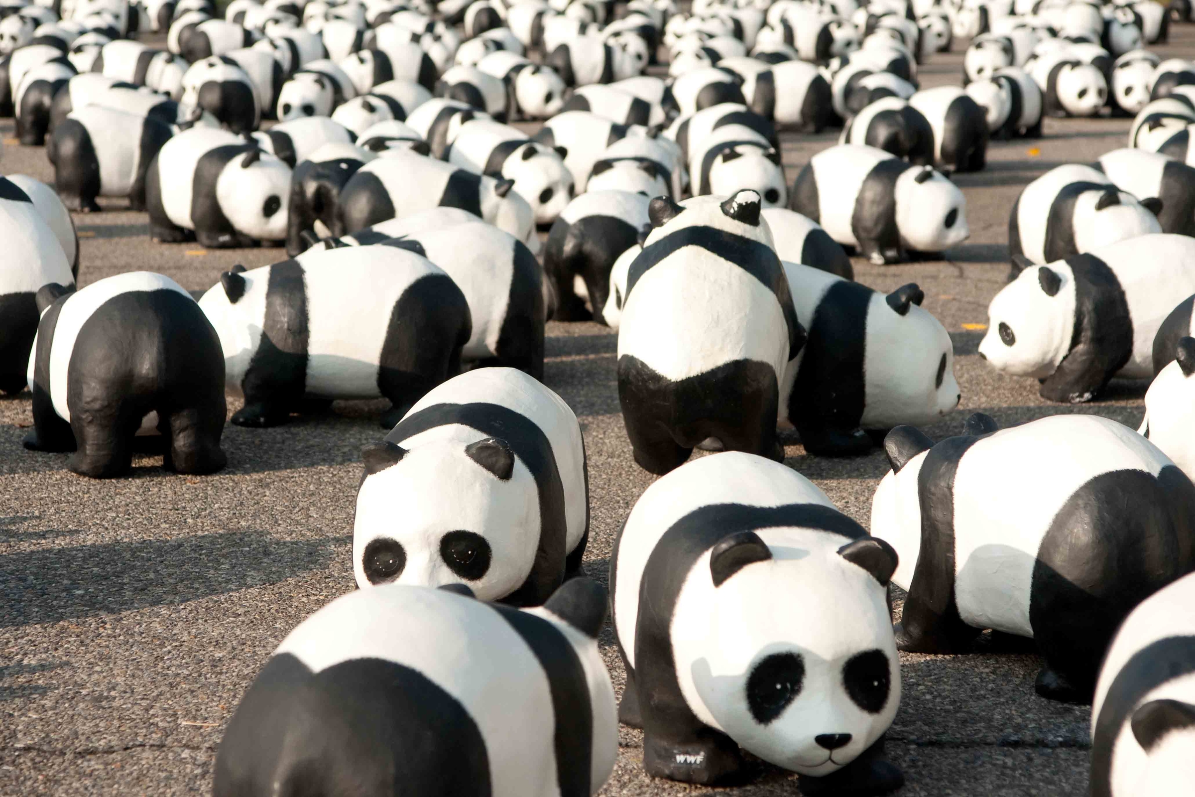 1600 Papp-Pandas - Ausstellung zum Jubiläum von WWF Schweiz