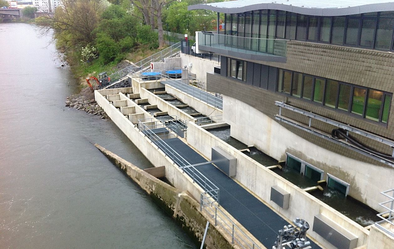 Positives Beispiel: Fischtreppe an der Mosel bei Koblenz