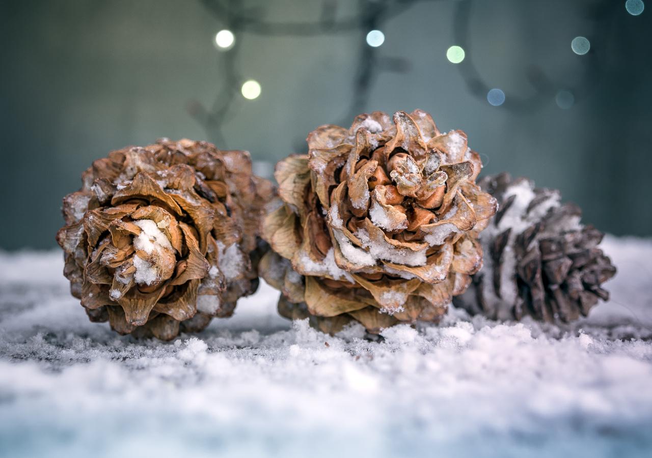 Decorazioni di Natale Tannzapfen