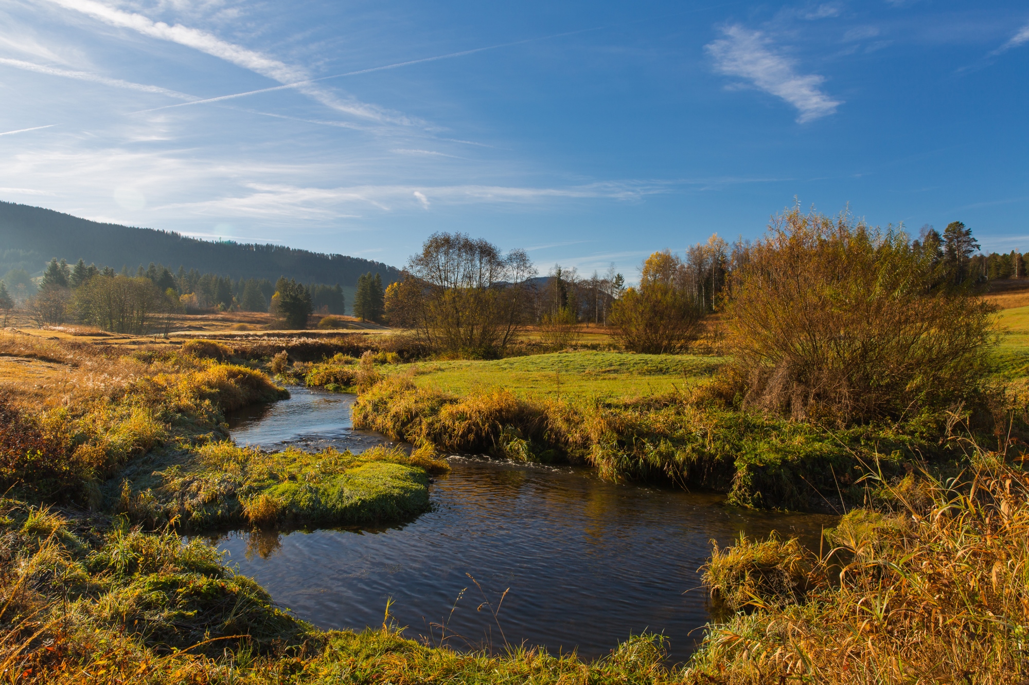 Schweizer Fluss Biber