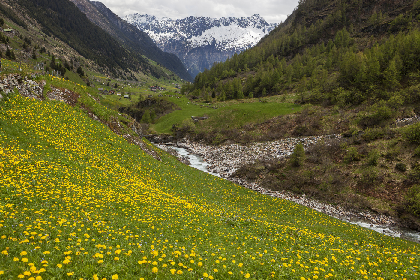 Schweizer Fluss Meienreuss