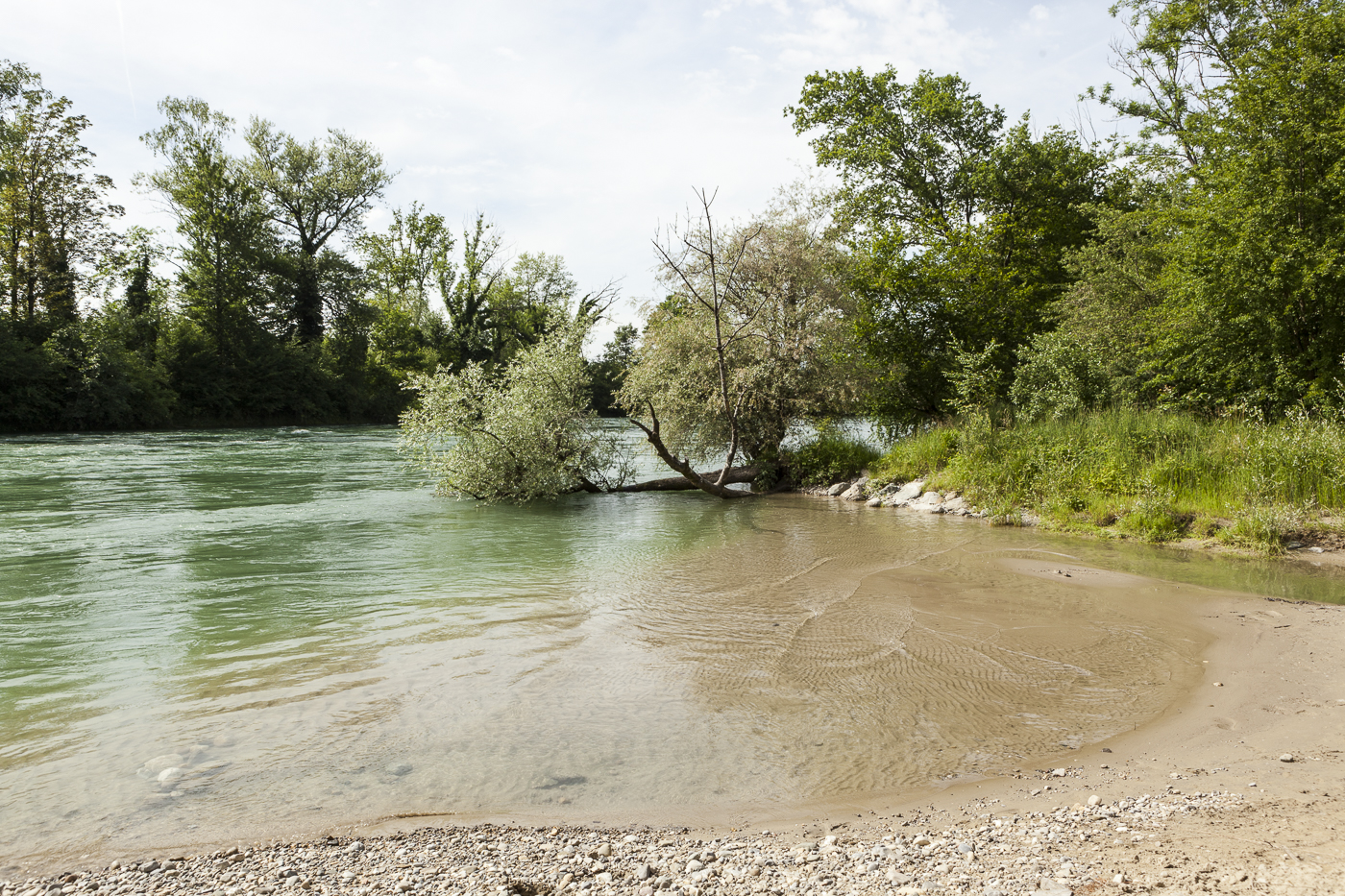 Schweizer Fluss Reuss