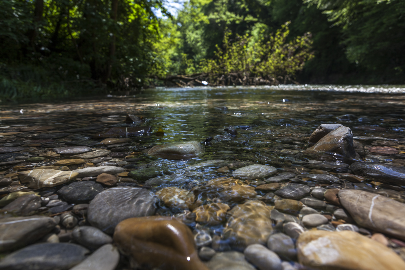 Schweizer Fluss Töss