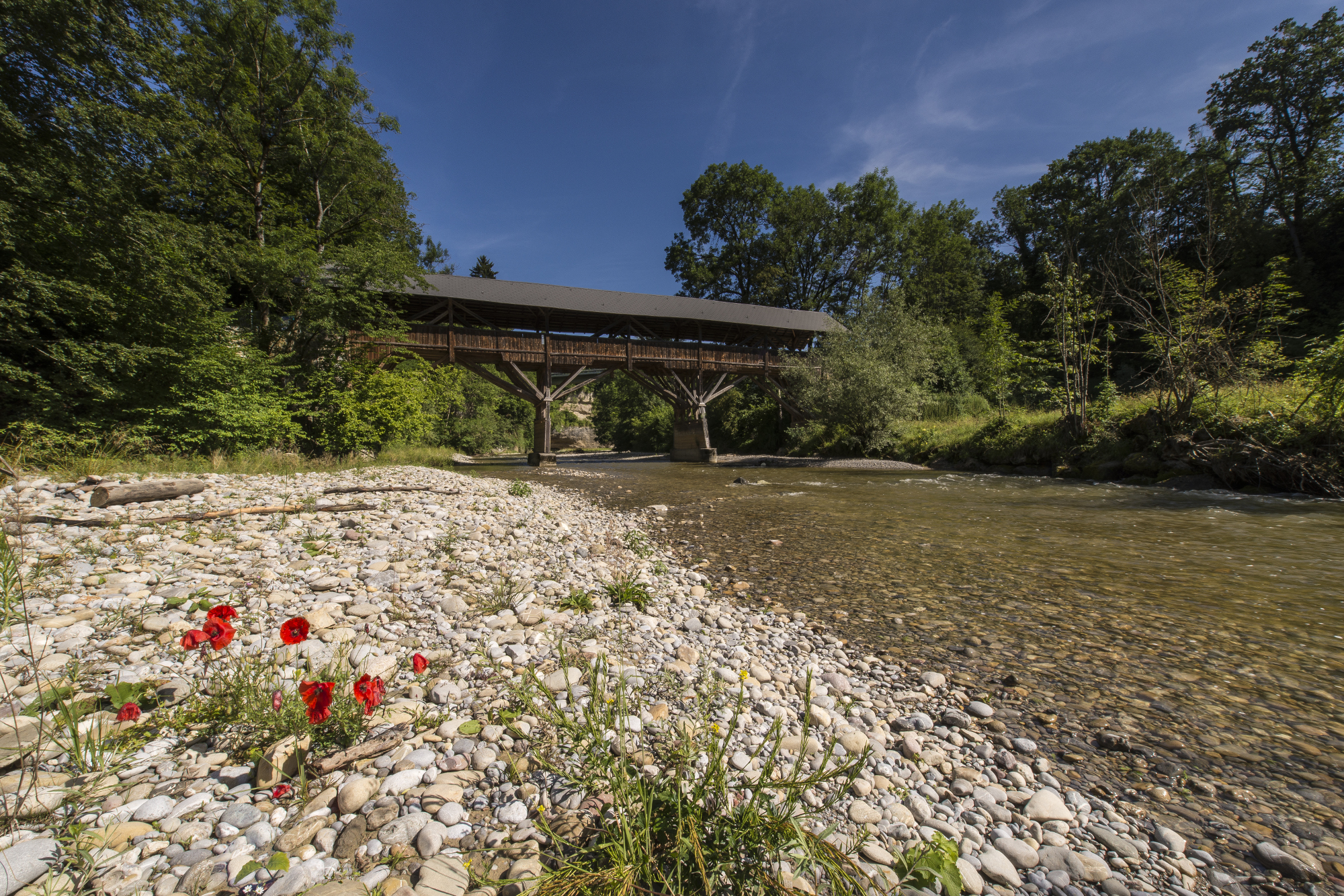 Schweizer Fluss Necker
