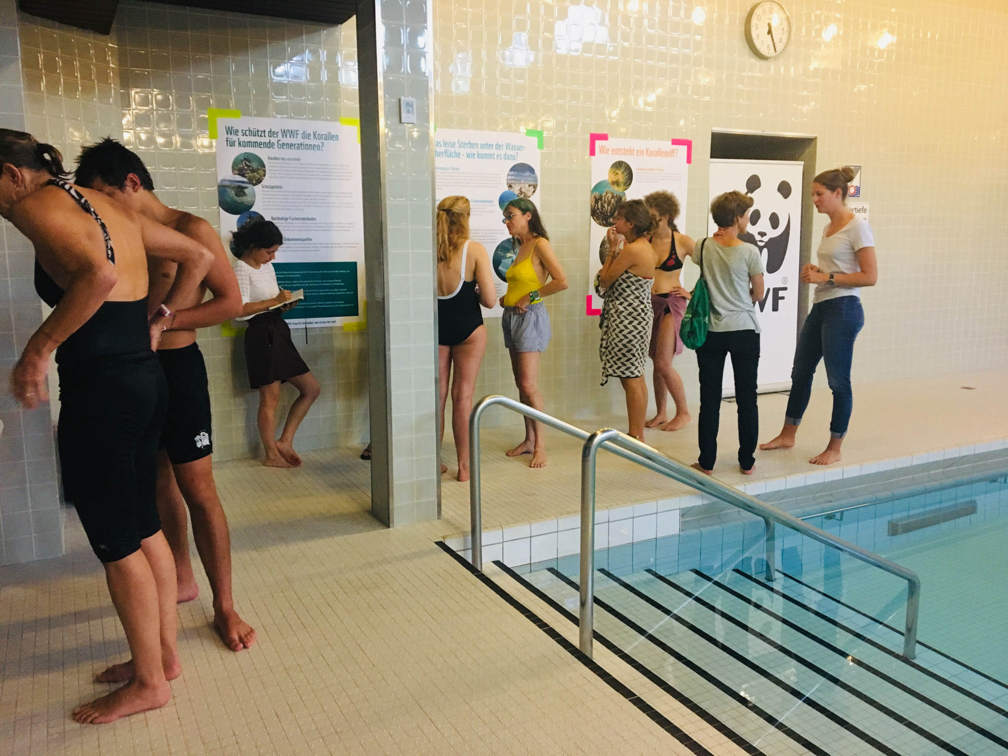 Informationen zu Korallen