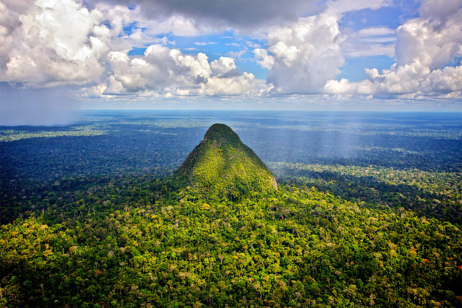 Amazon Regenwald Sierra del Divisor