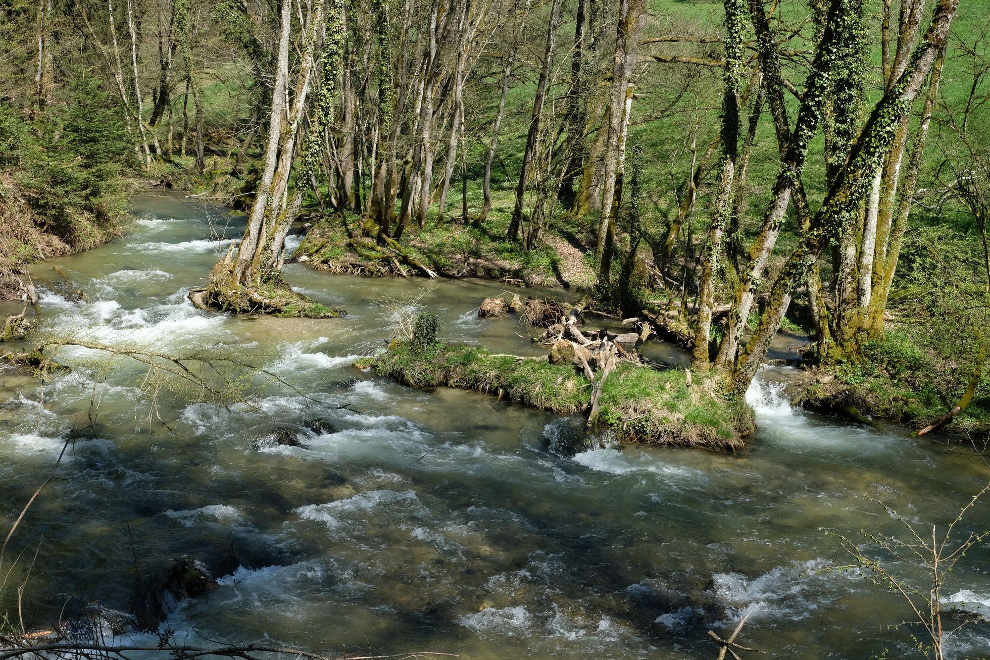 Kleine Inseln in der Aubonne