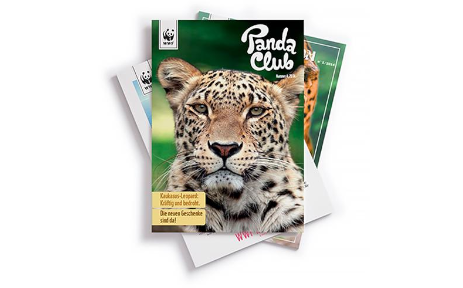 LiLu Panda Magazin