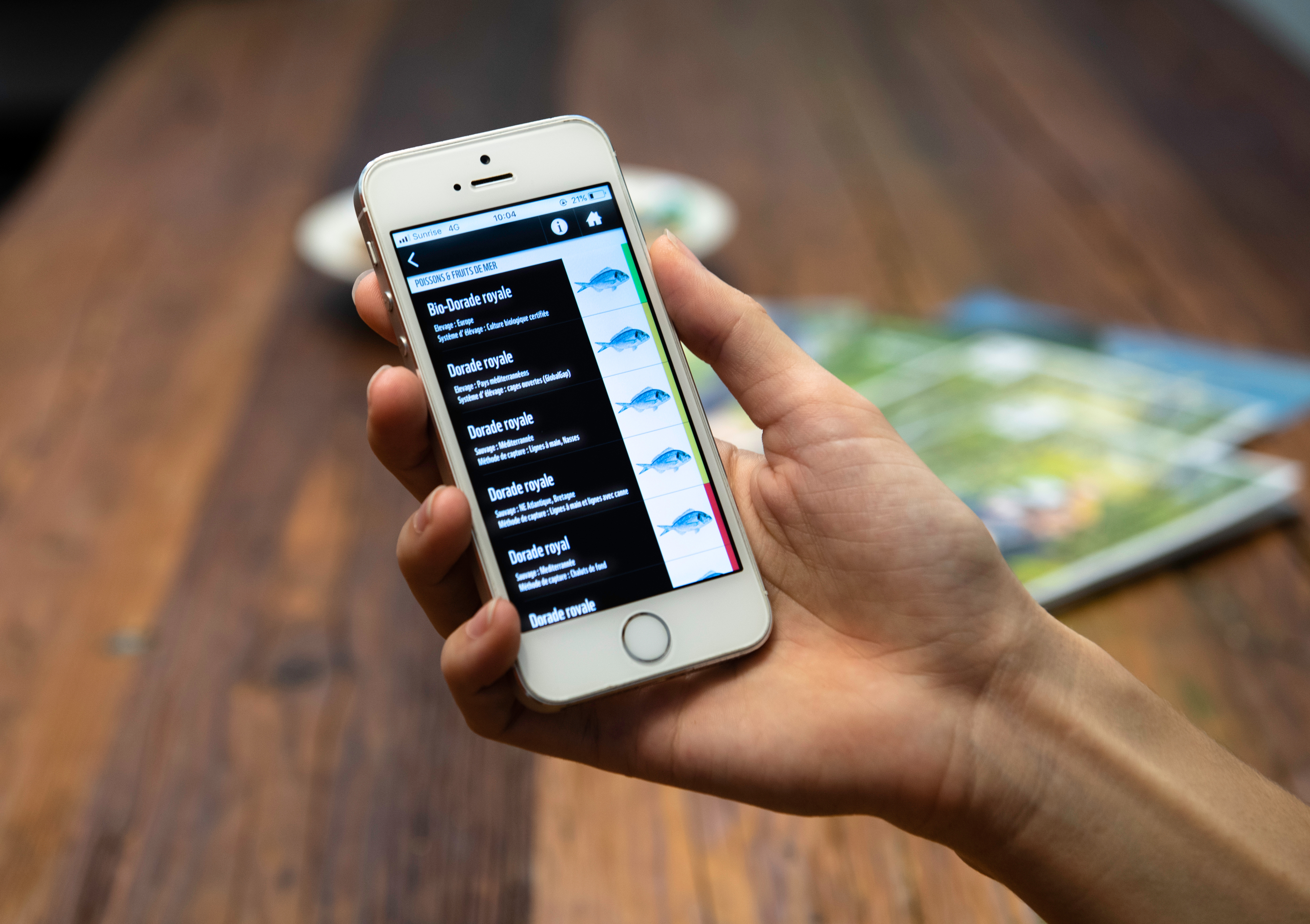 Personne tenant smartphone avec application open guide WWF