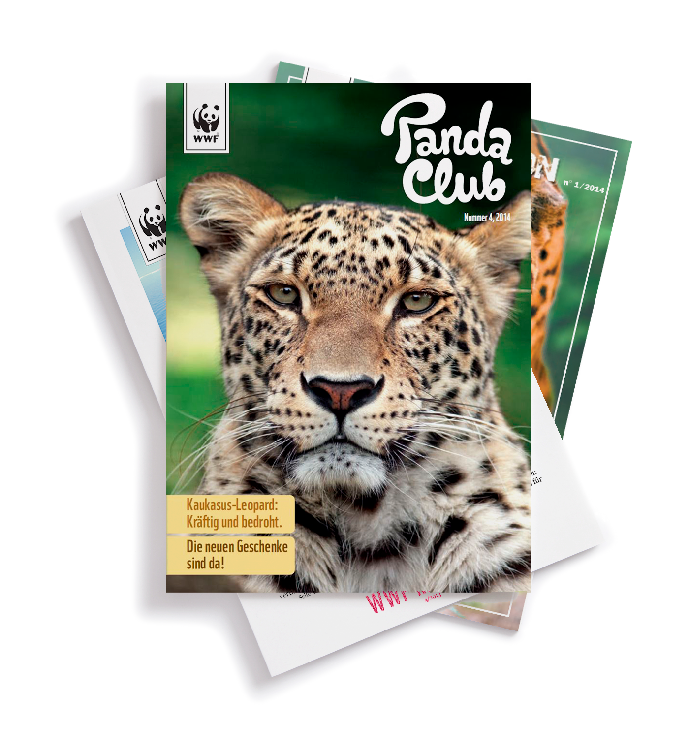 Magazin Stapel WWF