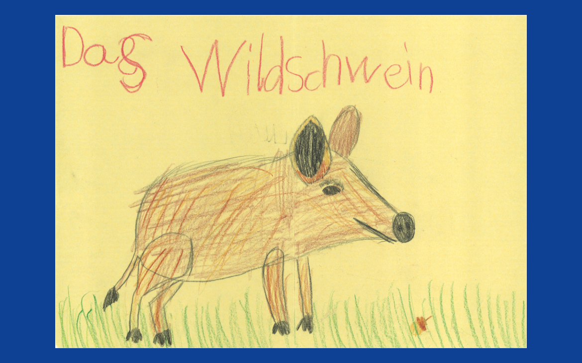 LiLu-Panda-Zeichnung Marina, 7 Jahre