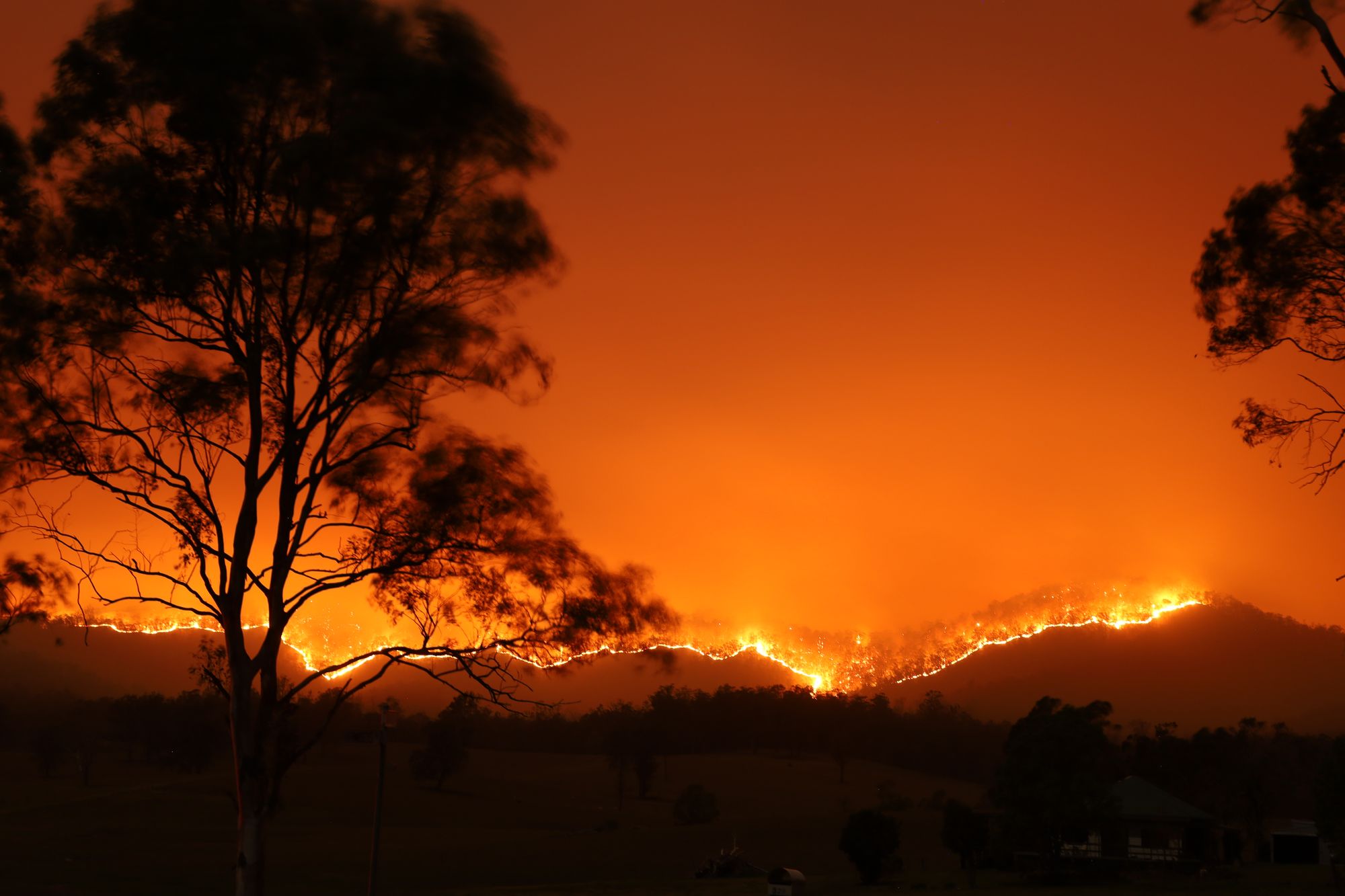 Das australische Feuer erleuchtet den Horizont
