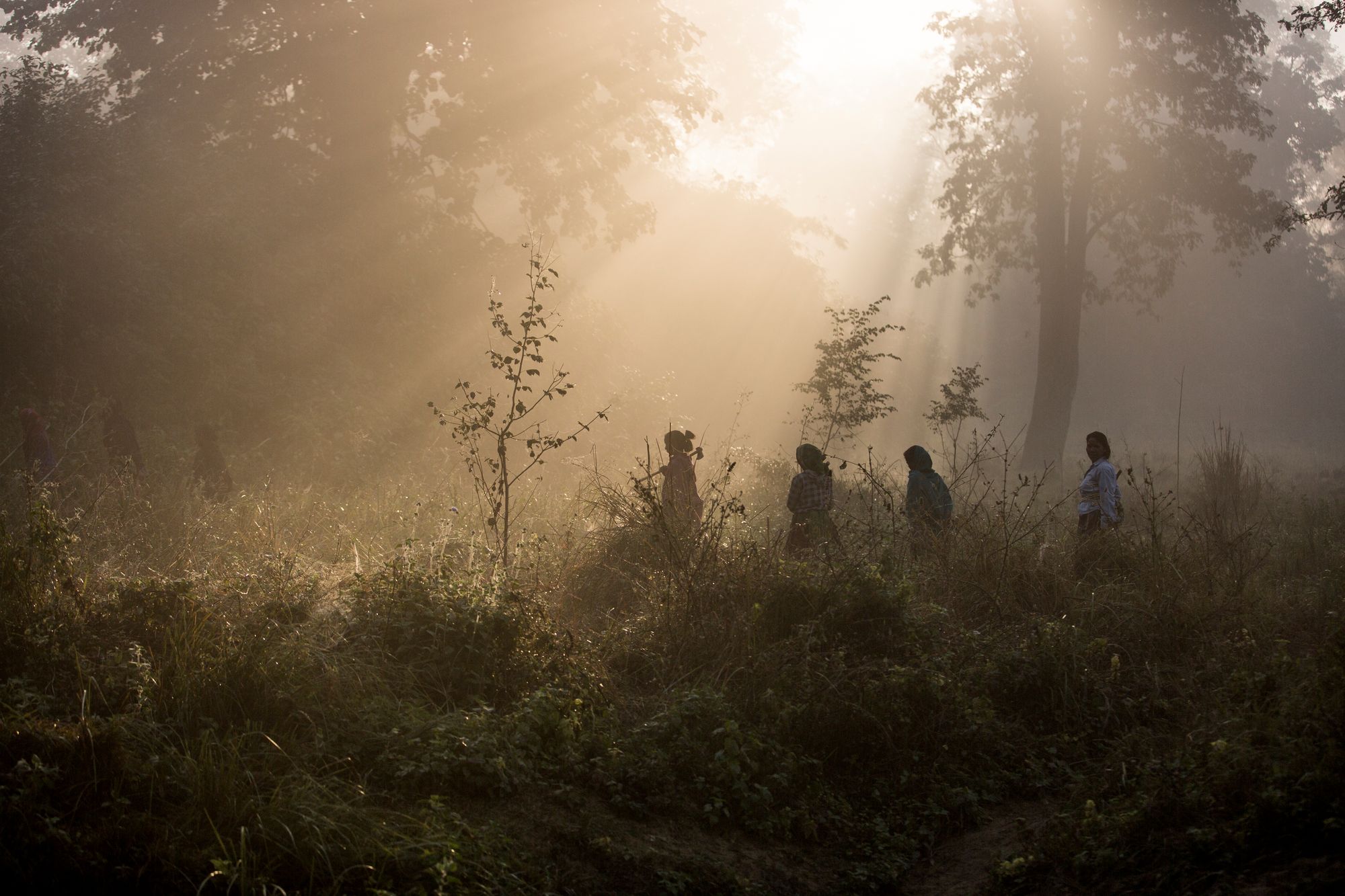 Frauen in Bardia, Nepal