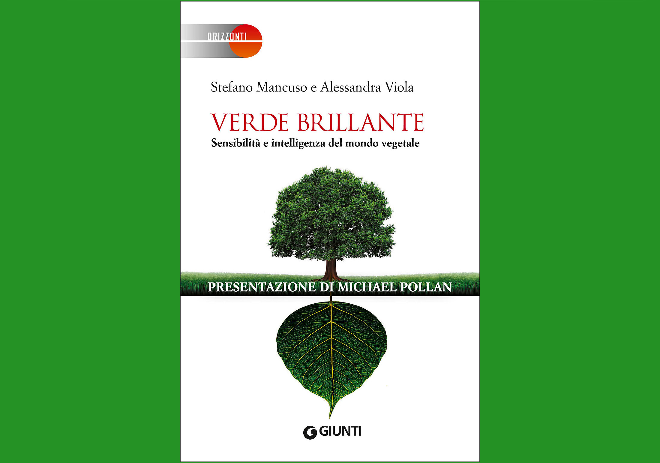 libro verde Brillante