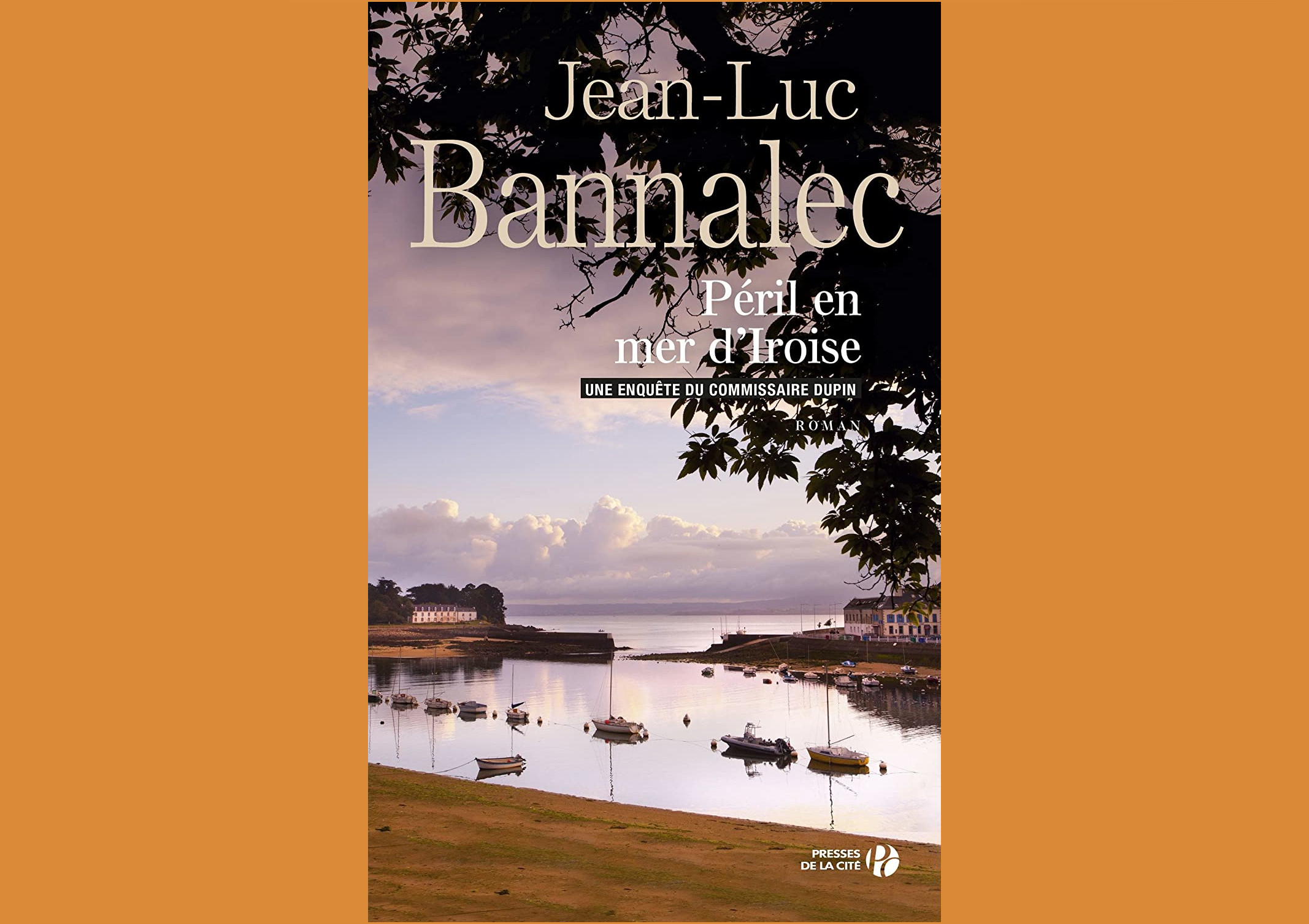 Buch von Jean_Luc Bannalec