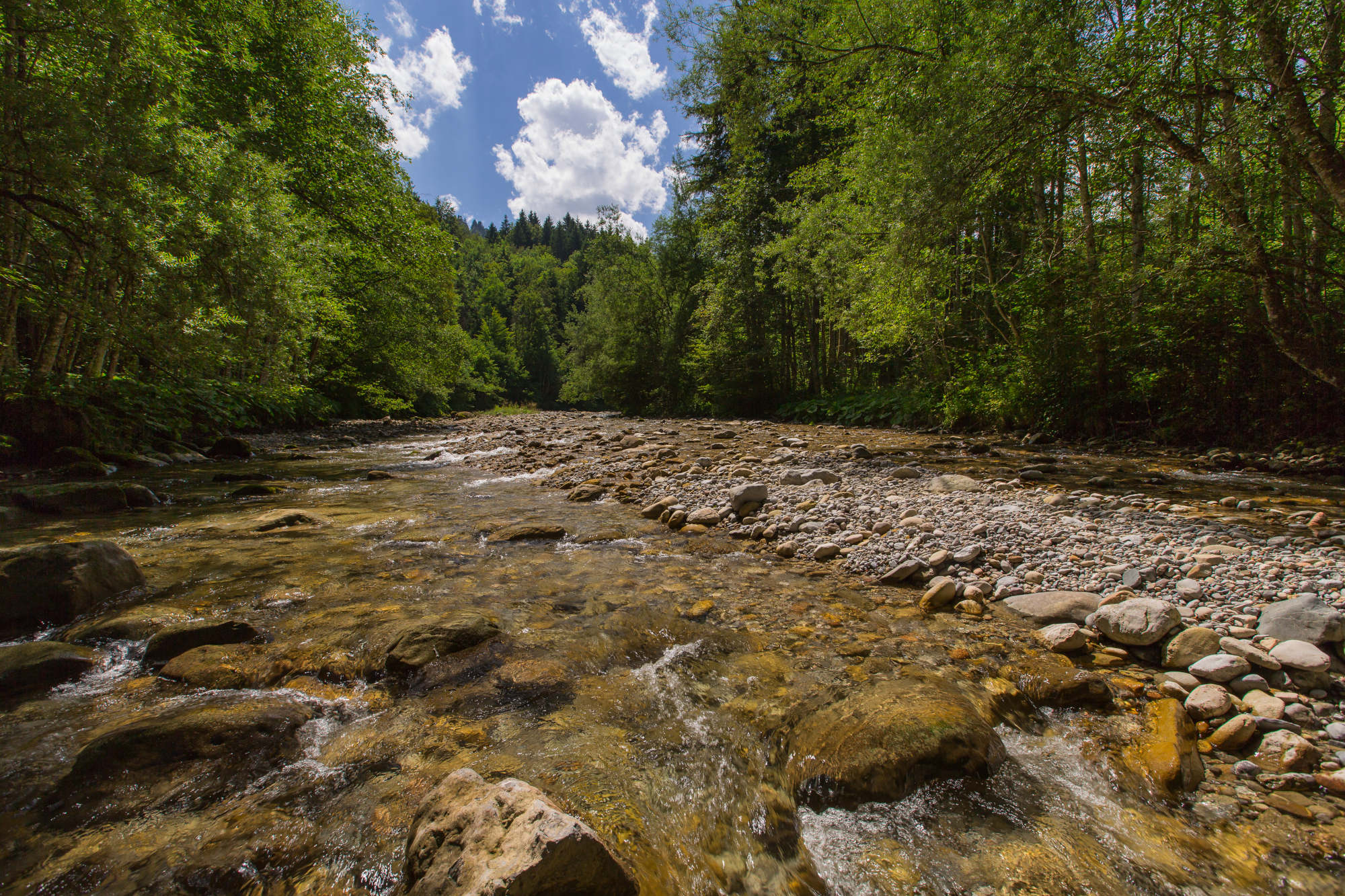Ausser im Unterlauf bahnt sich das Wasser des Wissbachs seinen Weg frei durch dichte Wälder und unwegsame Schluchten.