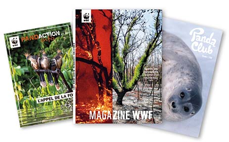 Magazines WWF