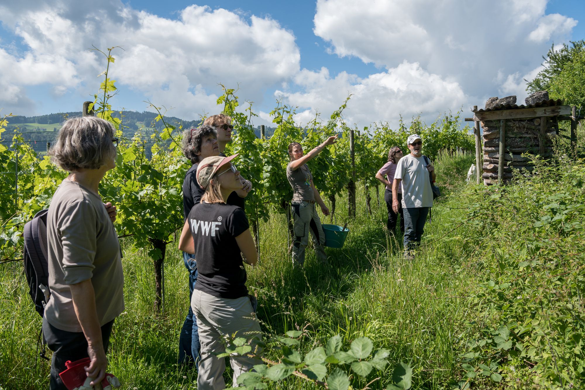 Gruppe mit Freiwilligen im Biorebberg