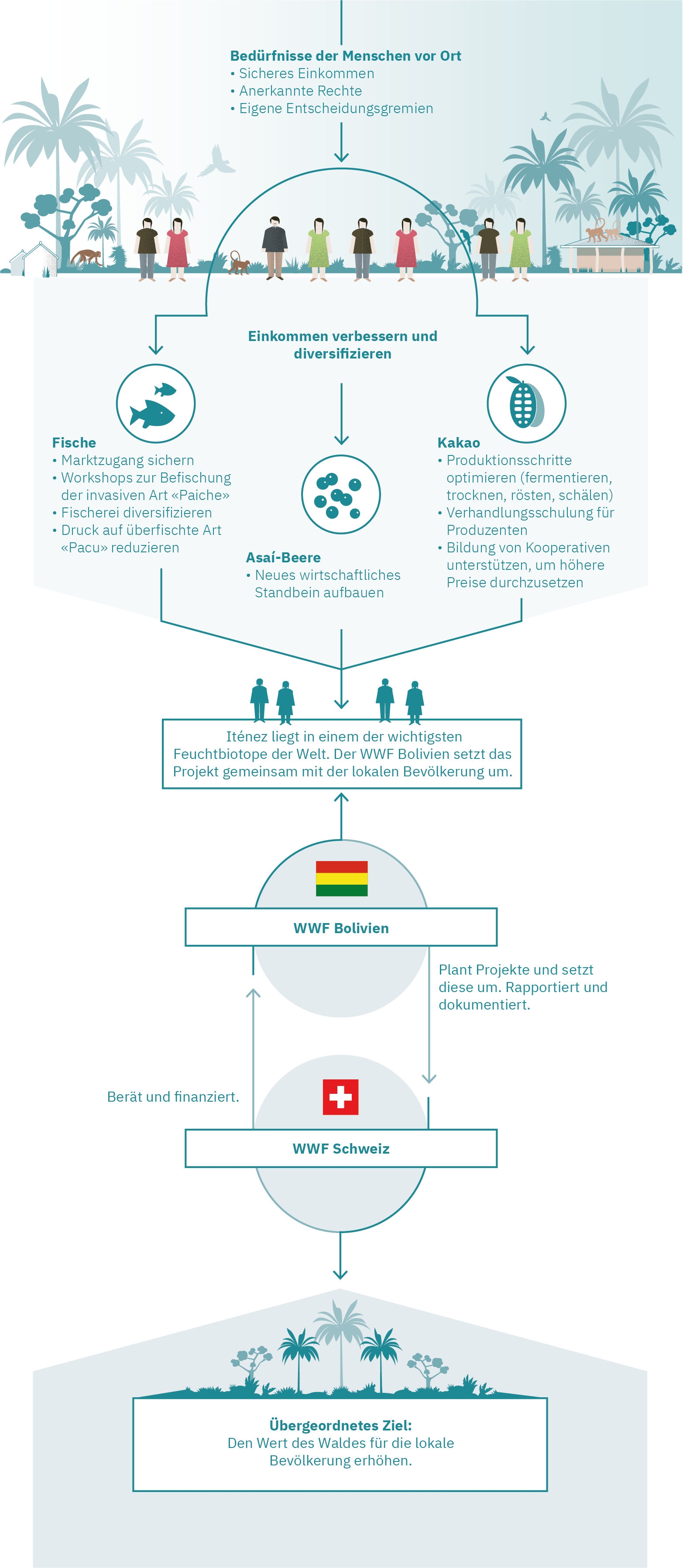 Infografik WWF-Projekt Bolivien