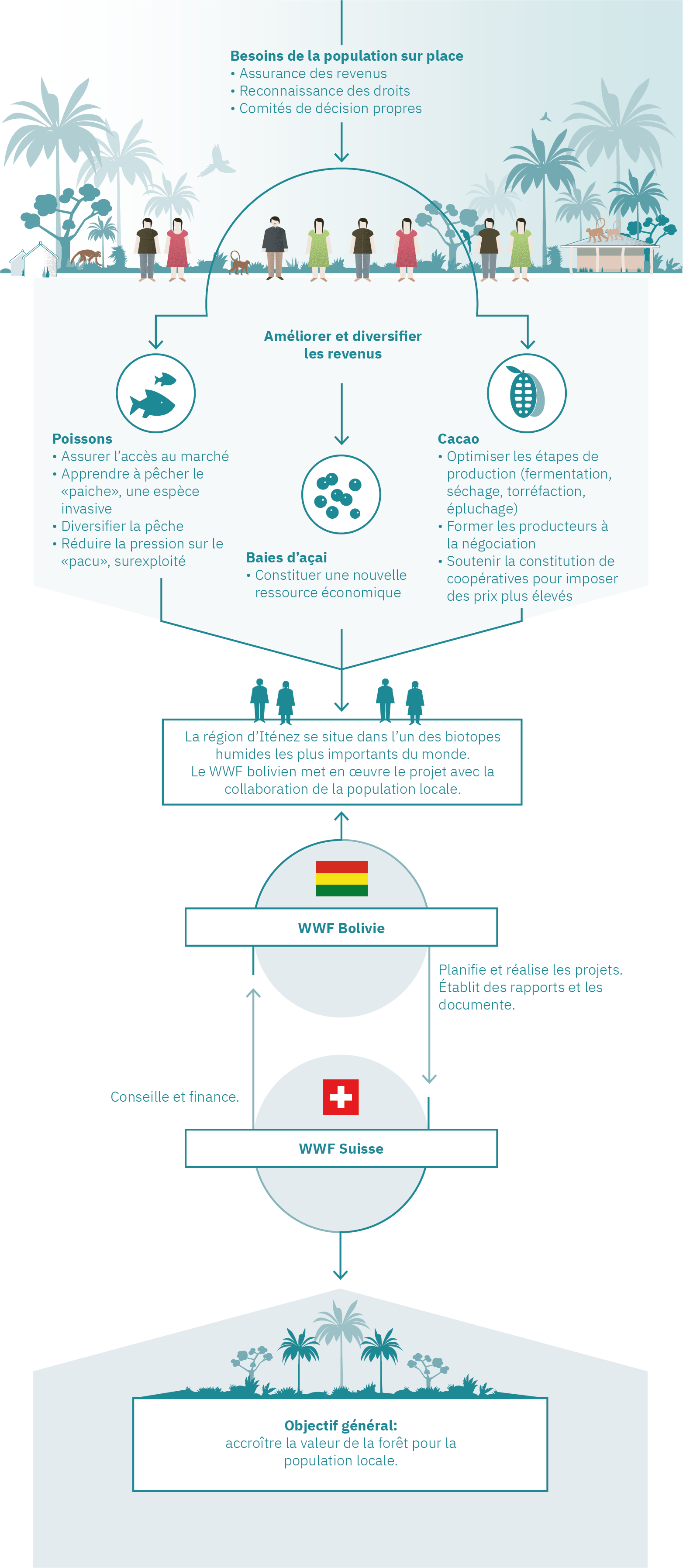 Infografik WWF-Projekt Bolivien