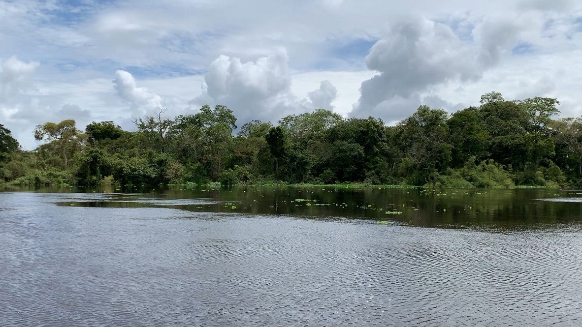 Fluss in Itenez, Amazonas