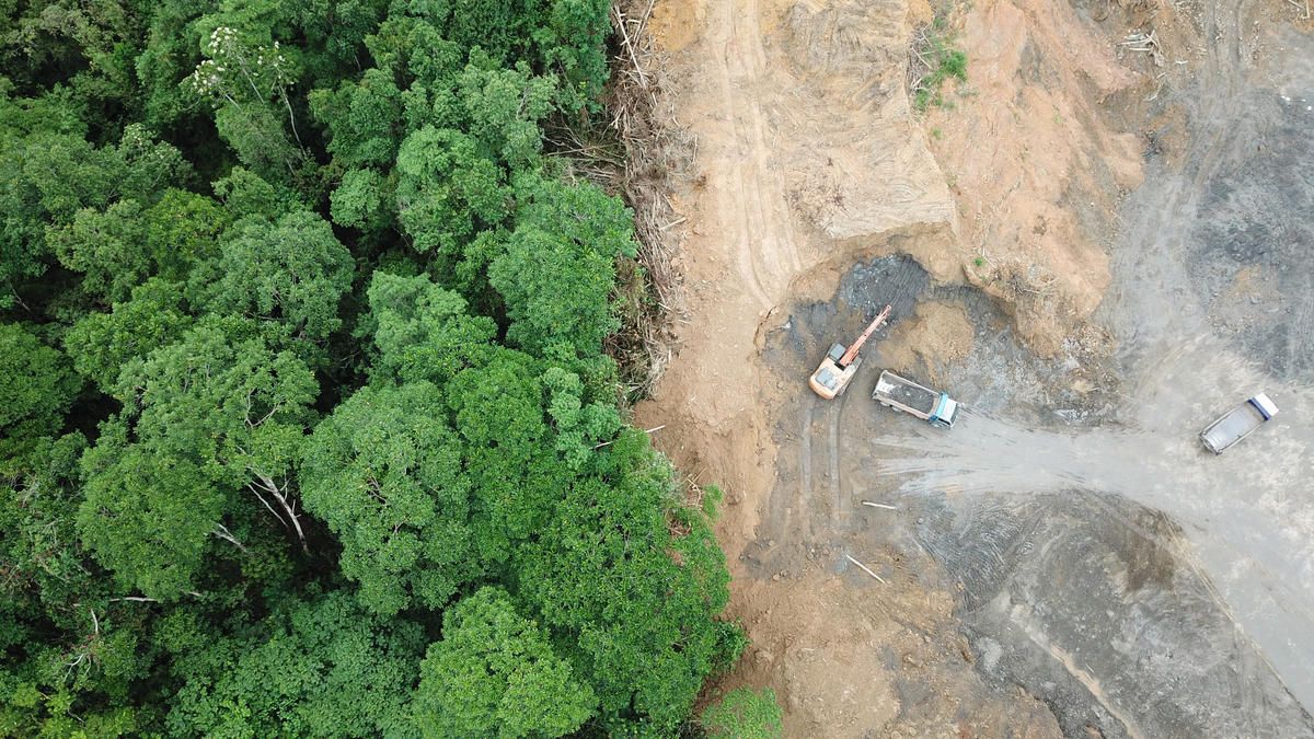 Abholzung für Palmöl-Plantage in Borneo, Malaisia.