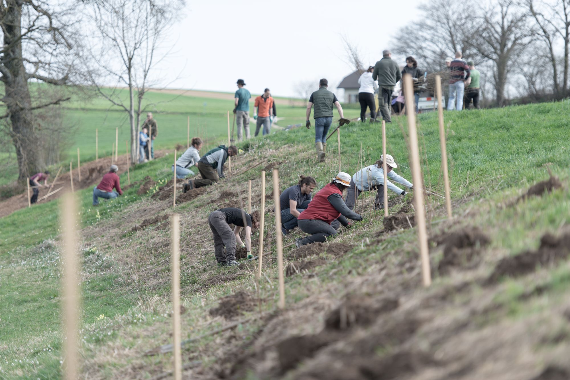 Freiwilligeneinsatz beim Projekt "Natur verbindet"