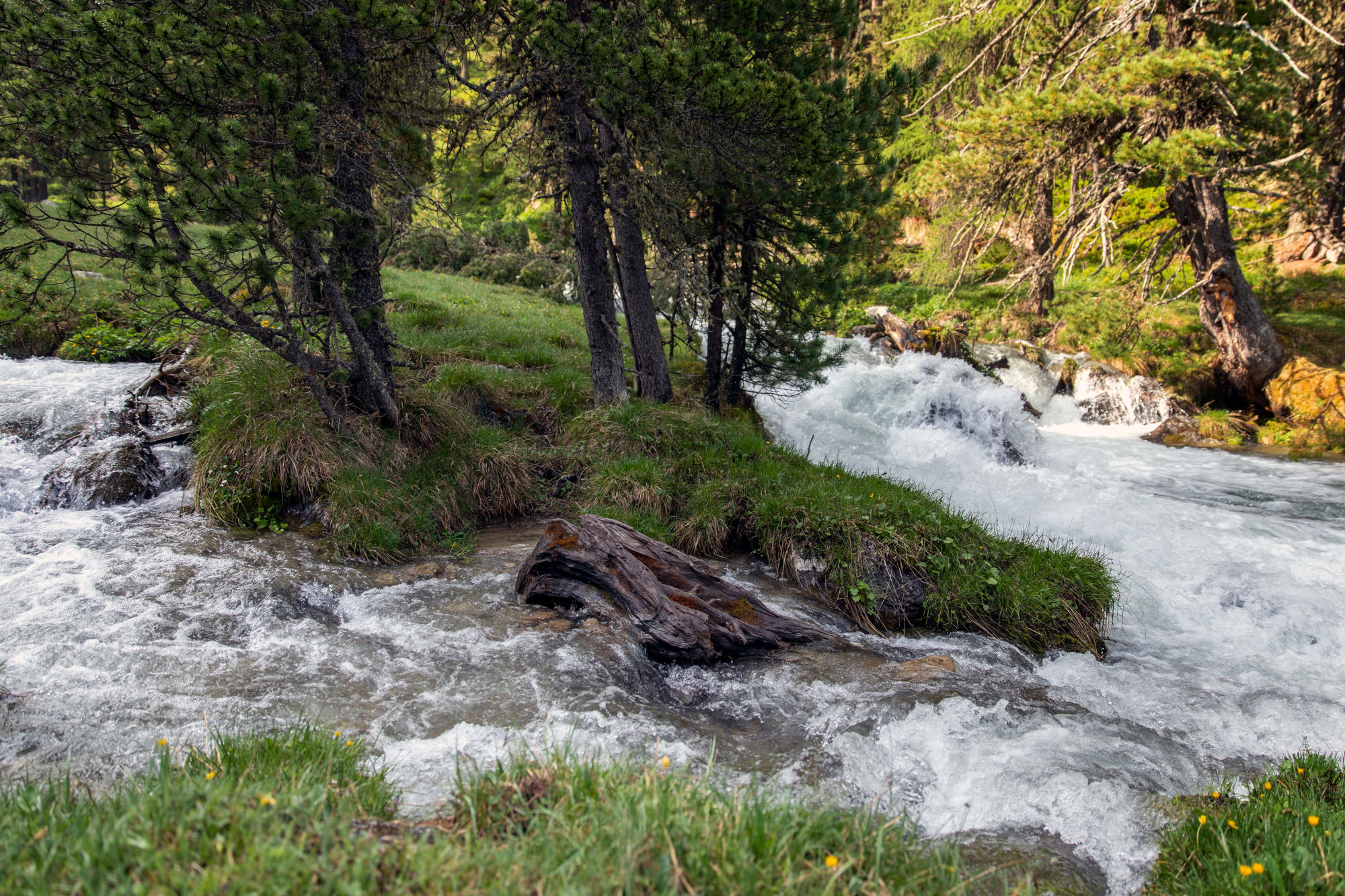 Der wilde Fluss Clemgia