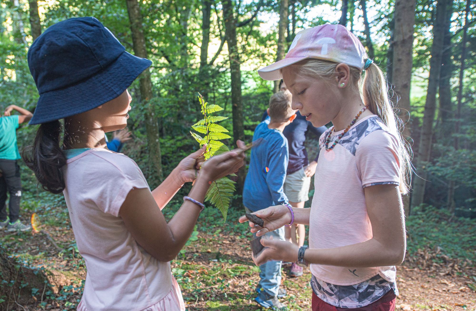 Deux filles apprennent dans la forêt.