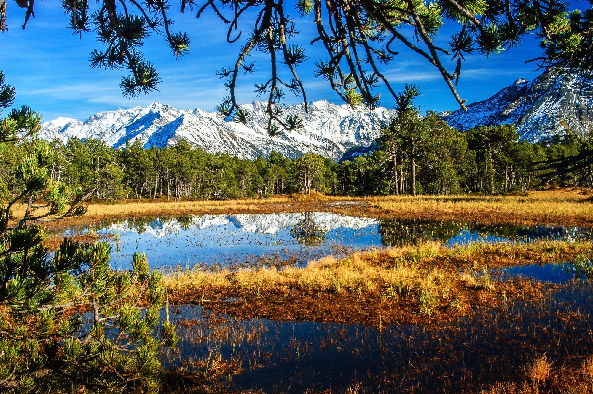 Moor mit Bergen im Hintergrund