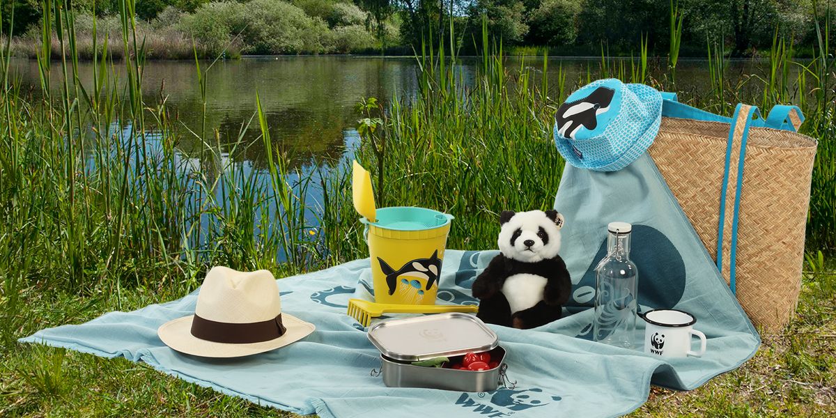 Ein Picknick am See