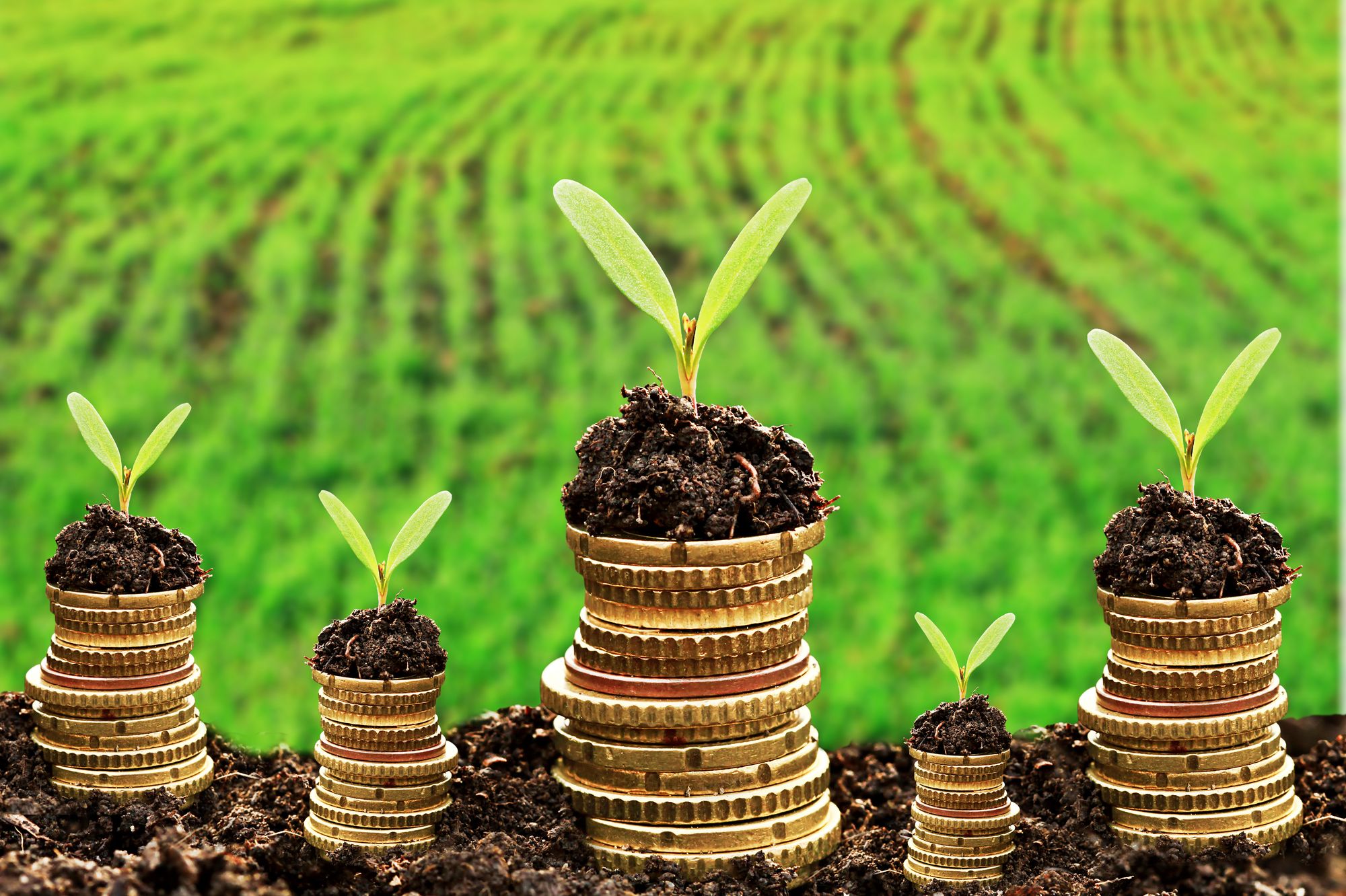 Nachhaltige Finanzierung der Wirtschaft